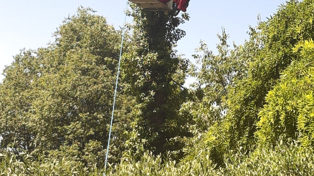 Nacelle Spider élagage Var