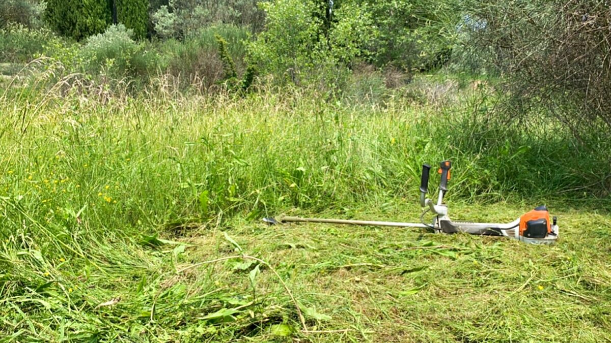 Débroussaillage terrain Var 83